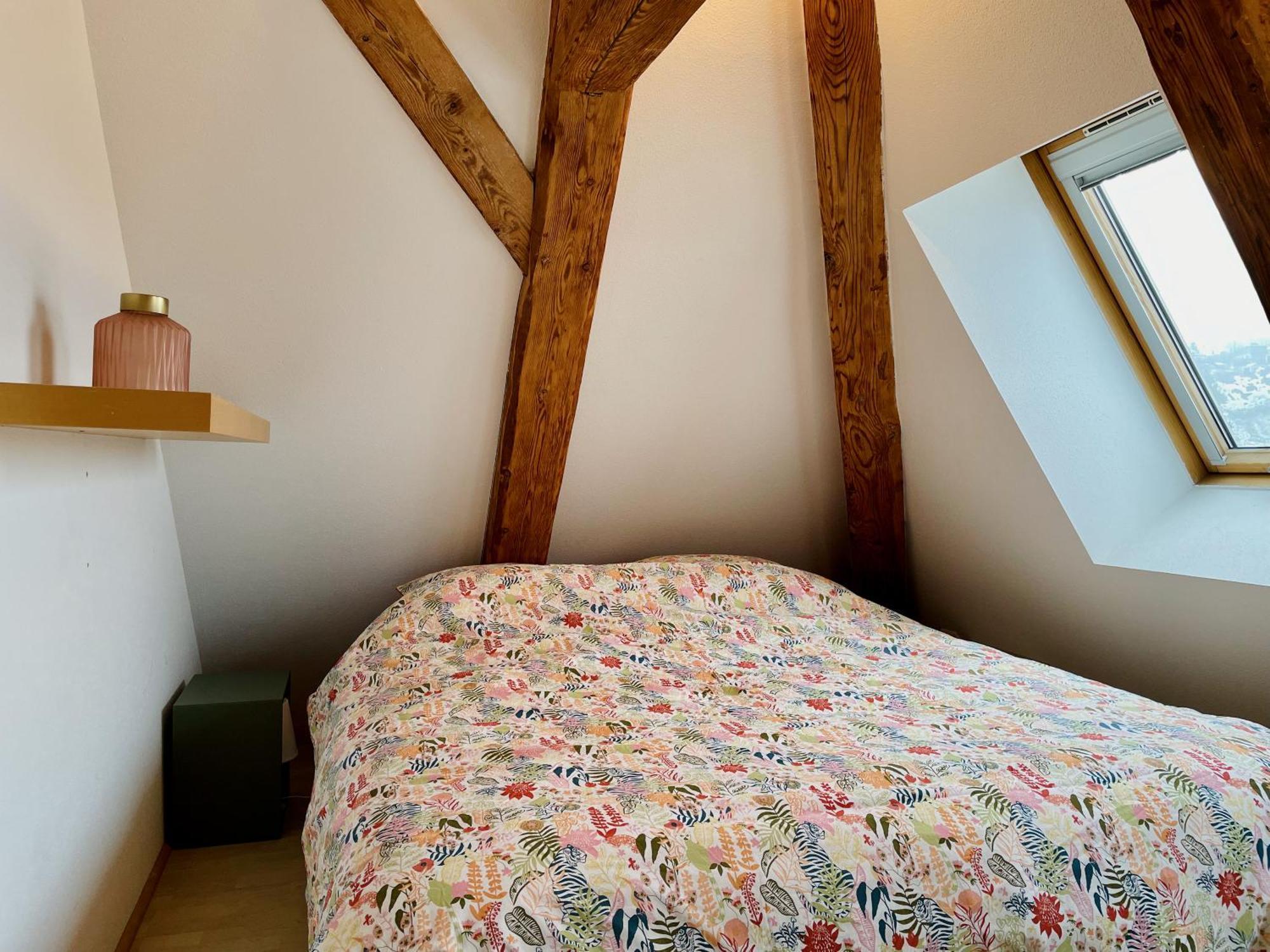 Duplex + Parking Gratuit Facile Sainte-Suzanne (Doubs) Exterior foto